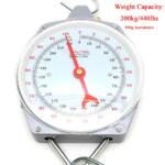 100 Kg Hanging Scale