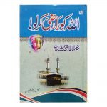Allah Ko Razi Karlo